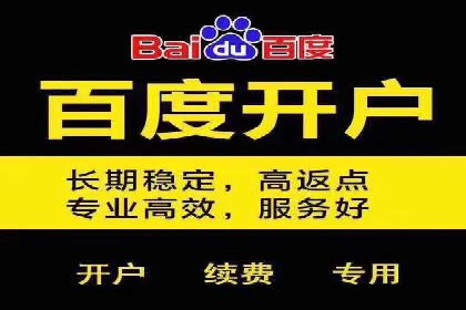 某某SEM服务公司如何帮助企业实现ROI最大化